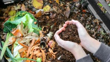 Heart hands holding compost