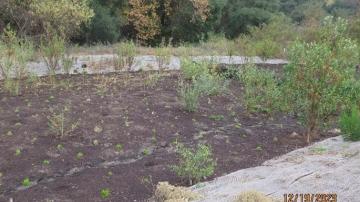 trabuco creek mitigation project