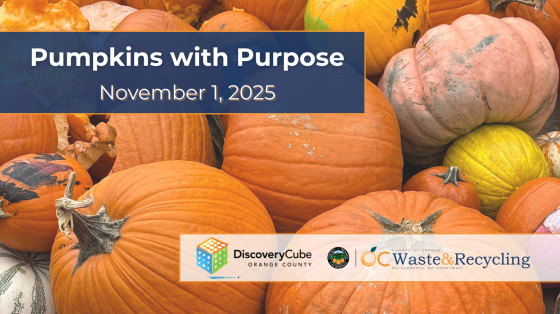pumpkins w purpose