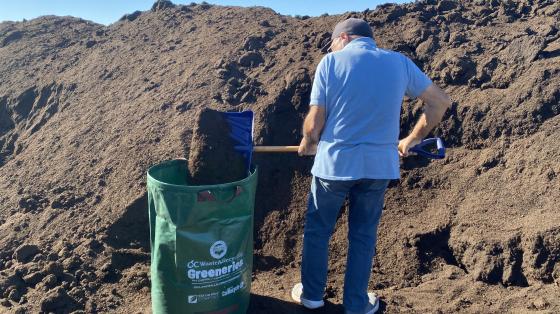 Man shoveling compost into green bin.