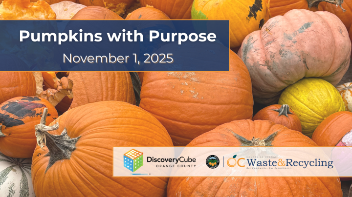 pumpkins w purpose