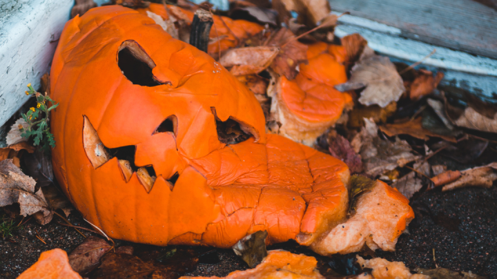 pumpkin