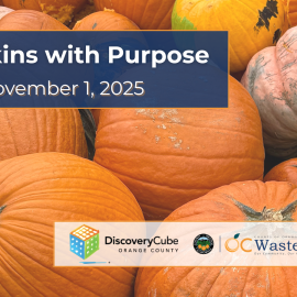 pumpkins w purpose