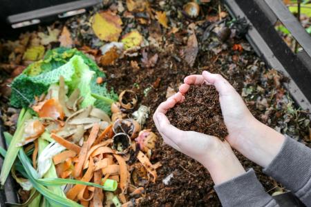 Heart hands holding compost