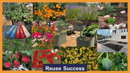 COMMUNITY COMPOST PROGRAM (CCP) - reuse success