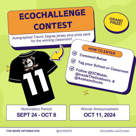 EcoChallenge how to enter contest graphic
