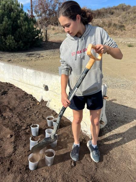 Bella scooping compost