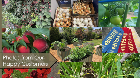 photos from our happy customers