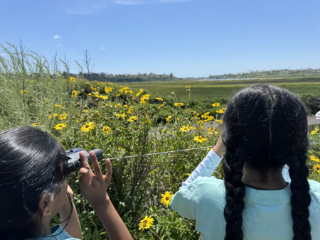 Picture of two girls looking at flowers in the field. 