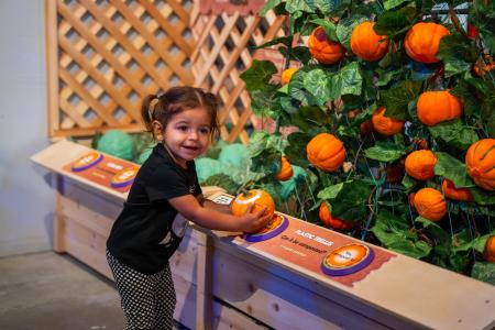 Young child interacts with a pumpkin-themed exhibit, placing a pumpkin on an interactive display to learn about composting and organic waste.